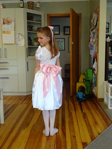 Ballet concert 2014-11-15 021